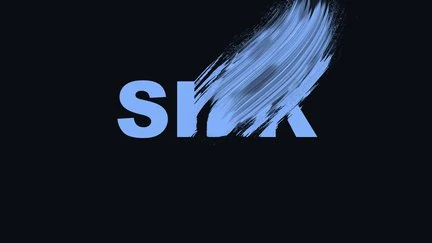 Silk Ribbons樣式的實際效果